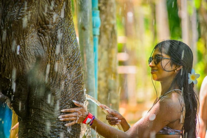 Phuket: Happy Hour Feed and Rain Shower with Elephant - Feeding elephants, not watching from a distance