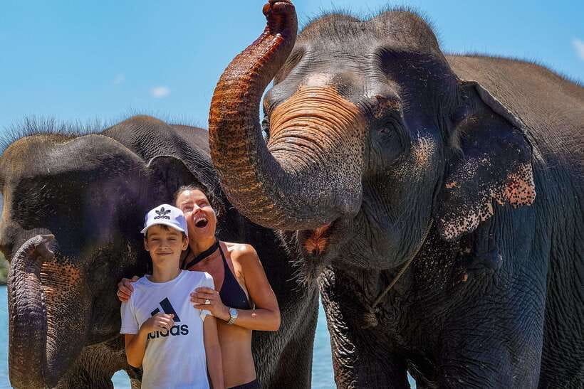 Phuket: Happy Hour Feed and Rain Shower with Elephant - Choosing an elephant experience with care