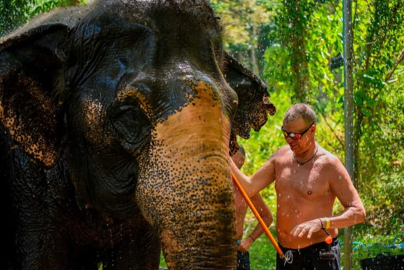 Phuket: Happy Hour Feed and Rain Shower with Elephant - Who will enjoy this afternoon