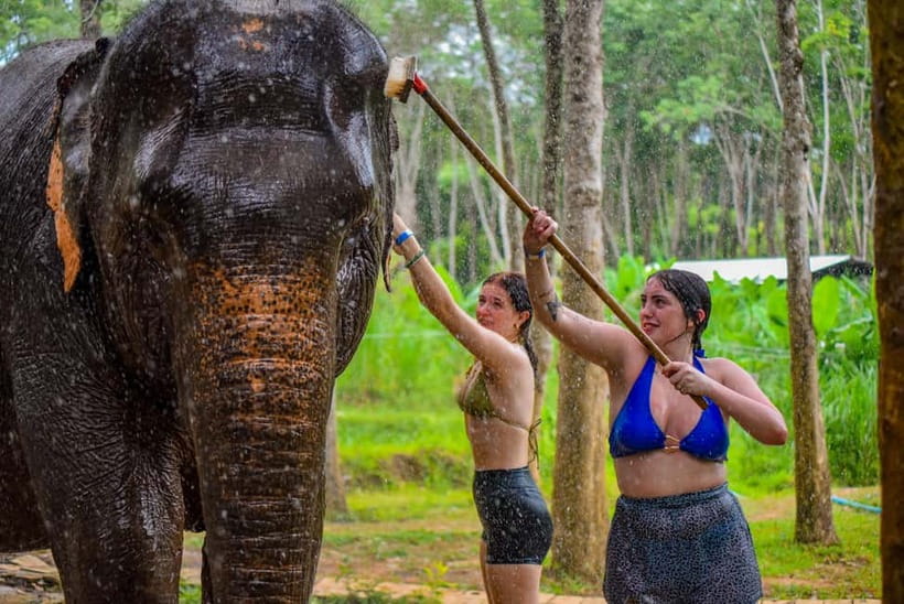 Phuket: Happy Hour Feed and Rain Shower with Elephant - Should you book Lily Elephant Camp?