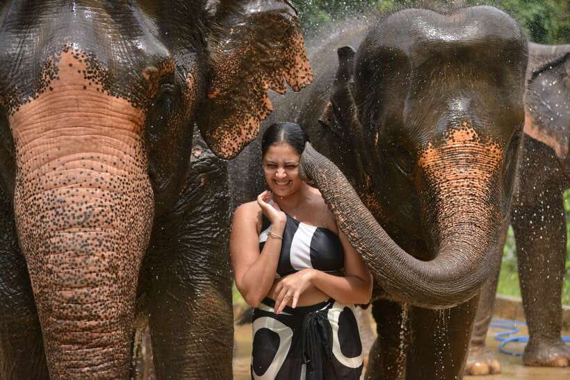 Phuket: Happy Hour Feed and Rain Shower with Elephant - FAQ