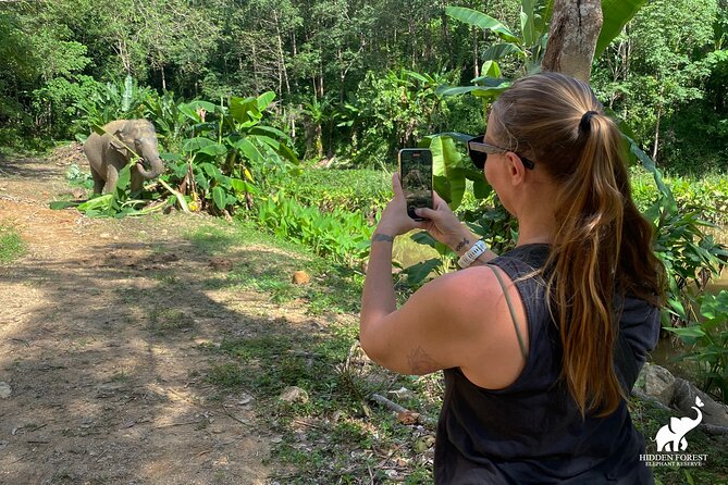 Phuket: Hidden Forest Elephant Reserve Guided Tour with Lunch - Lunch at the End of the Trail