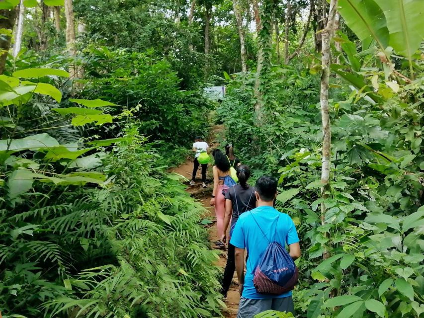 Phuket: Hiking to Sunrise - What $64 buys you