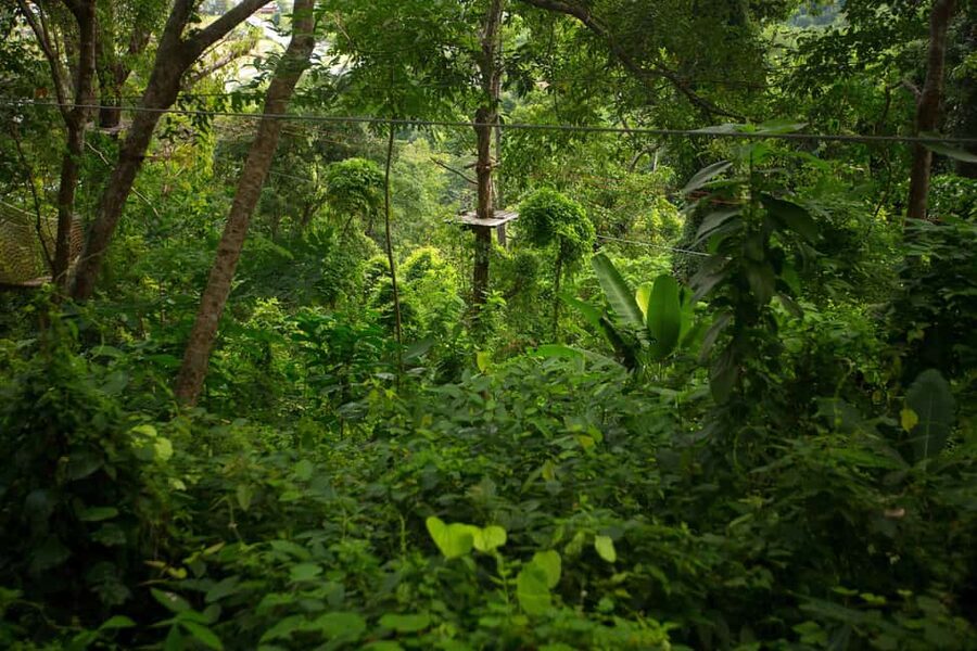 Phuket: Jungle Xtreme Adventure Park Entry Ticket - Is $48 a fair price?