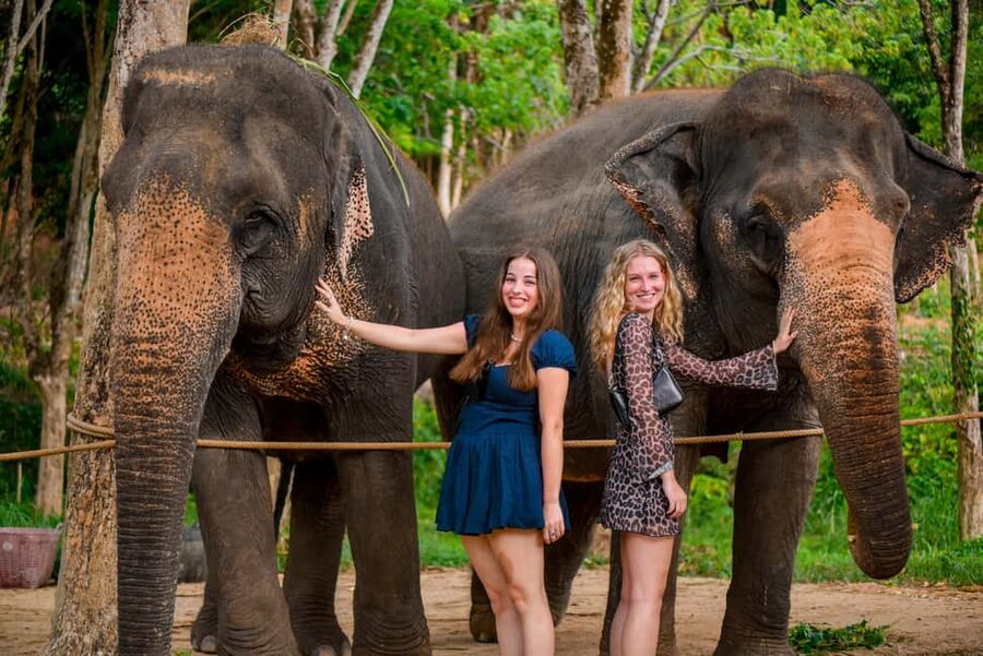 Phuket: Make & Meet The Gentle Giant Experience - Making food for elephants, not just watching them eat