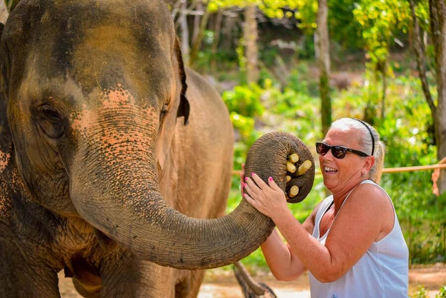 Phuket: Make & Meet The Gentle Giant Experience - Why the vitamin balls matter