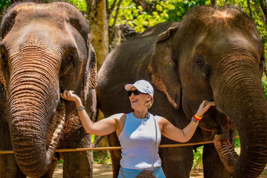 Phuket: Make & Meet The Gentle Giant Experience - Feeding fruit and meeting the elephants