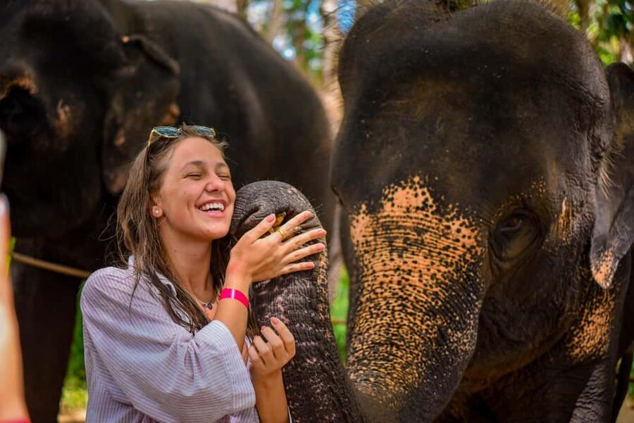 Phuket: Make & Meet The Gentle Giant Experience - FAQ