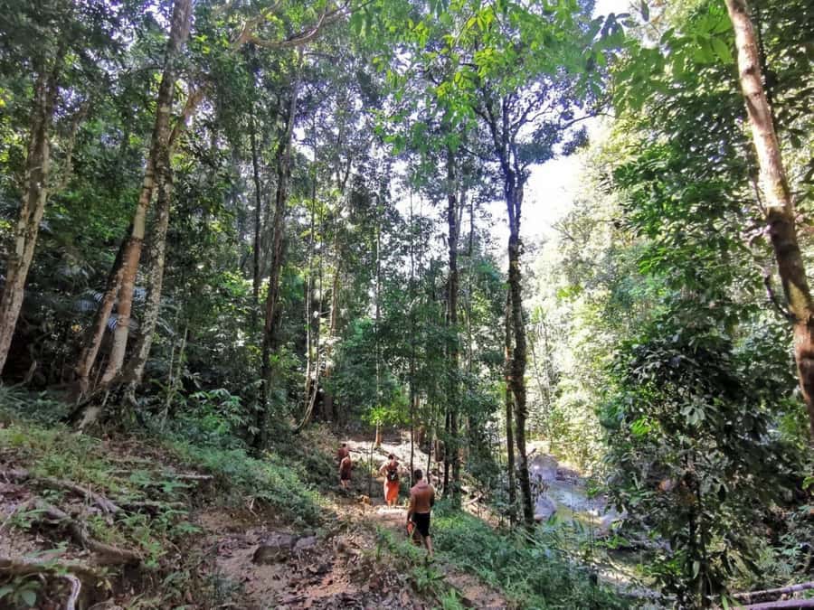 Phuket: Monkey Cave, Water Rafting, Zipline with ATV Option - How much guiding should you expect?