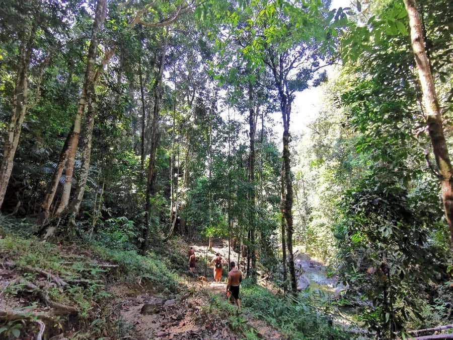Phuket: Monkey Cave, Water Rafting, Zipline with ATV Option - Who should book this Phuket day trip?
