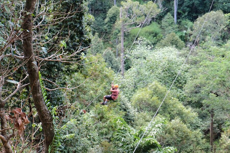 Phuket: Paradise Jungle Zipline Adventure - Who Should Book This Jungle Course