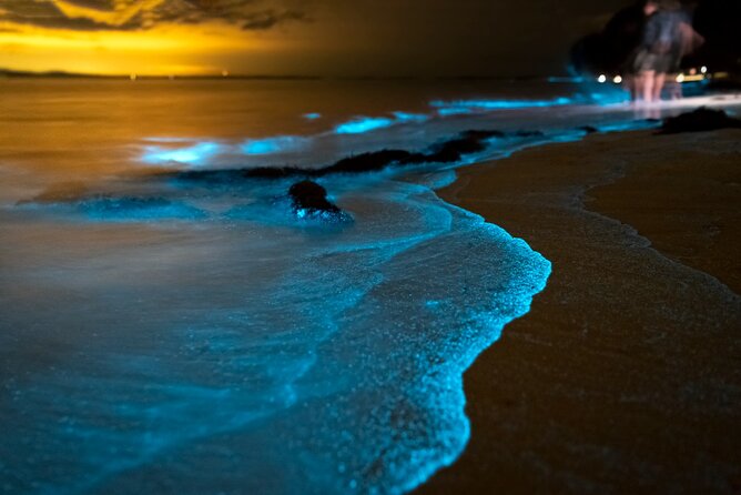 Phuket: Phang Nga Bay Bioluminescent Plankton and Sea Canoes tour - Canoeing around Hong Island