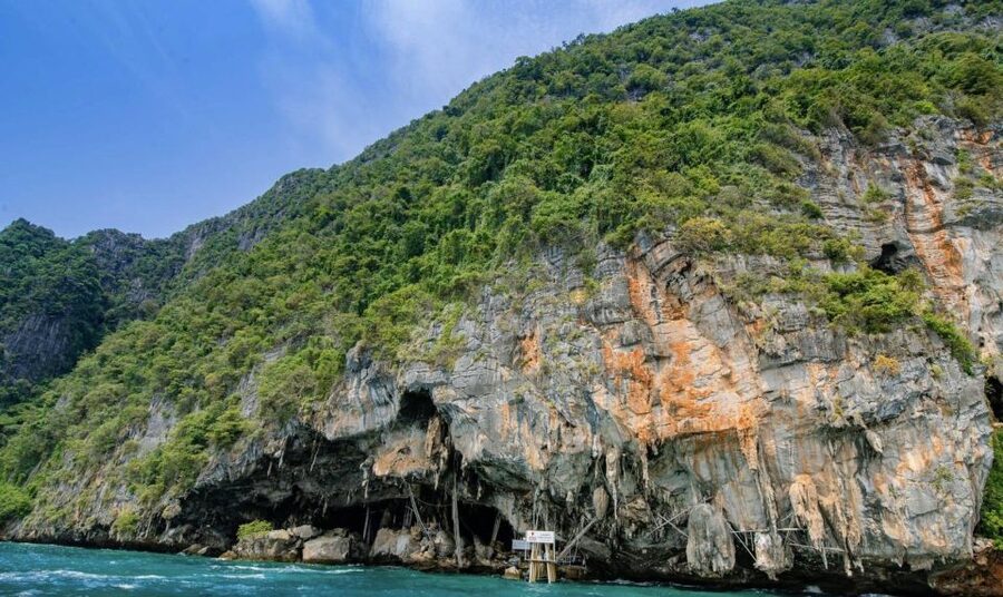 Phuket: Phi Phi Islands and Maya Bay Day Trip with Lunch - Viking Cave and lunch on Phi Phi Don