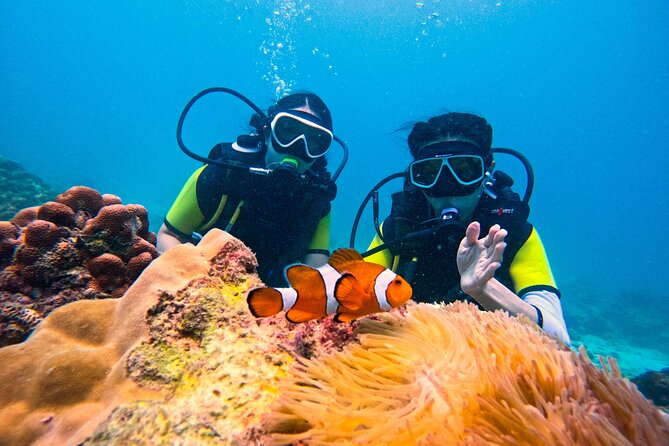 Phuket Scuba Diving: Racha Island Or Maiton Island For All Levels - Maiton’s quieter water, or Racha’s longer outing