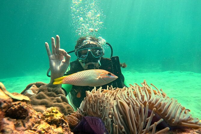 Phuket Scuba Diving: Racha Island Or Maiton Island For All Levels - Who should choose Maiton, and who should choose Racha?