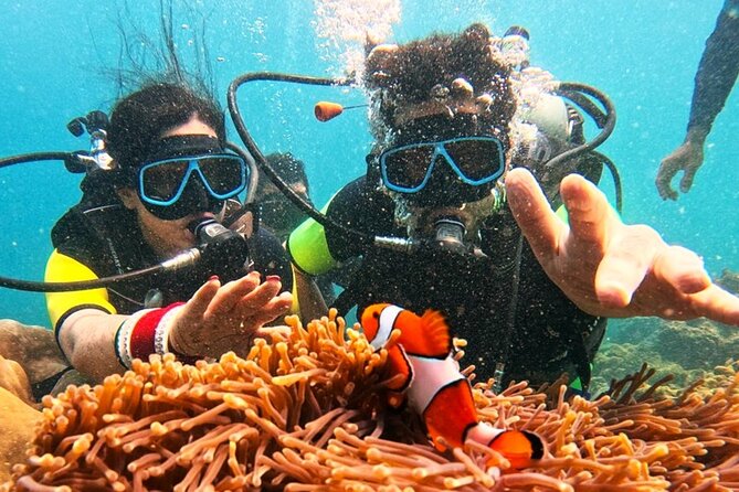 Phuket Scuba Diving: Racha Island Or Maiton Island For All Levels - Certified options and a refresher before returning