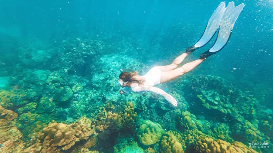Phuket: Speedboat Day Trip to Phi Phi and Maya Bay - Phi Phi Le, lagoons, and the Maya Bay reality check