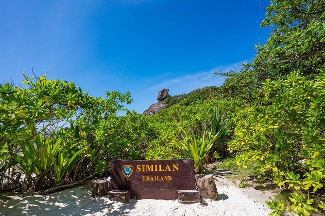 Phuket to Similan Islands Snorkeling Tour - Breakfast, gear, and the first instructions
