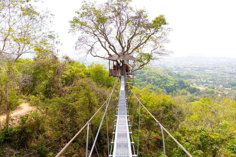 Phuket: Zipline Flying Higher than a Hawk with ATV Option - The zipline: a canopy view with a safety briefing