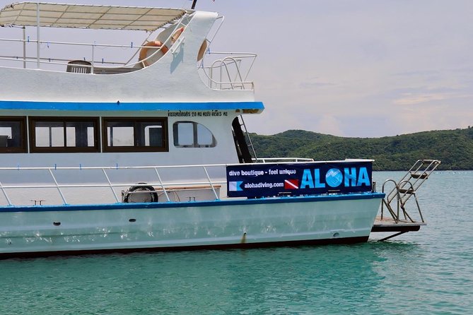 Premium Guided Scuba Diving Day Trip for Certified Divers - Is $162.24 good value?
