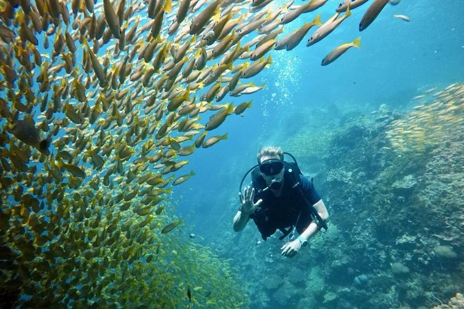 Premium Guided Scuba Diving Day Trip for Certified Divers - The crew and the small-group feel