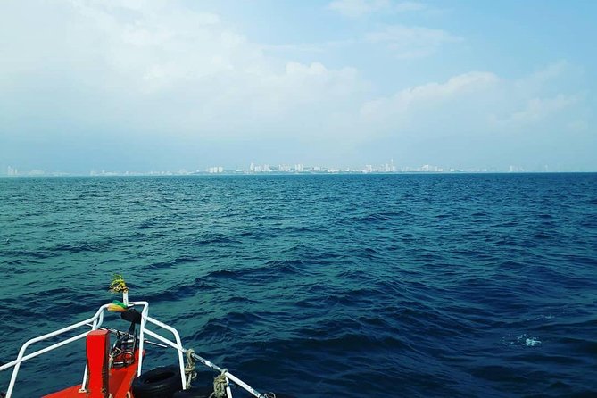 Racha & Coral Island Day Trip by Speedboat - Lunch Included - Should you book the Racha and Coral Island trip?
