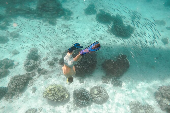 Raya Island / Mai Ton Island Private Boat Tour - Should you book the Raya and Mai Ton boat trip?
