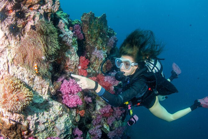 Scuba Diving Daytrip to Racha Yai - Meals, showers, and a place to rest