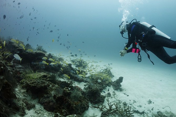 Scuba Diving in Phuket – Full-Day Trip (3 Dives, All Included) - Equipment, meals, and what the price covers