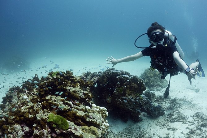Scuba Diving in Phuket – Full-Day Trip (3 Dives, All Included) - Photos, group size, and what not to assume