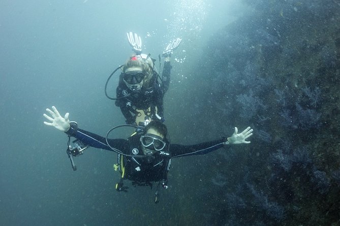 Scuba Diving in Phuket – Full-Day Trip (3 Dives, All Included) - Is this the right Phuket scuba trip for you?