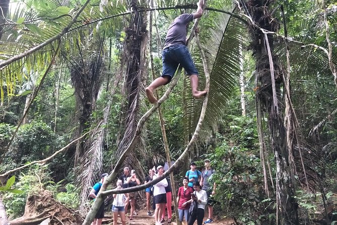 Small-Group Jungle Hiking Excursion in Khao Phra Teaw Park - Thai lunch after the trail