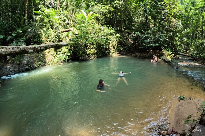 Small-Group Jungle Hiking Excursion in Khao Phra Teaw Park - What the price includes, and what it means