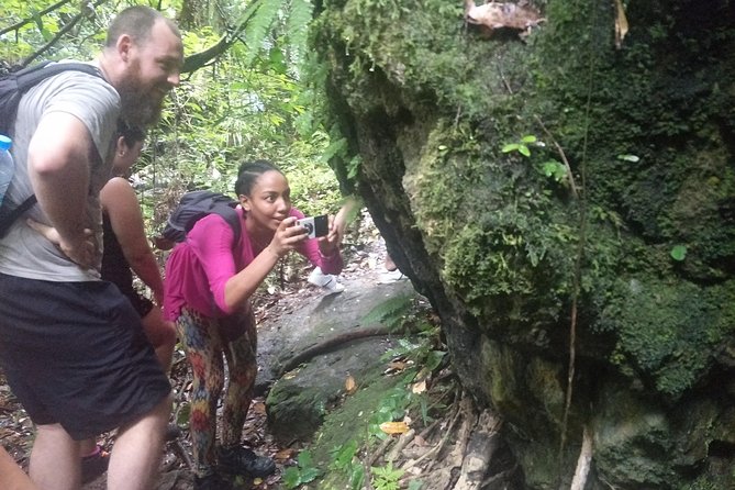 Small-Group Jungle Hiking Excursion in Khao Phra Teaw Park - Should you book the Khao Phra Teaw hike?