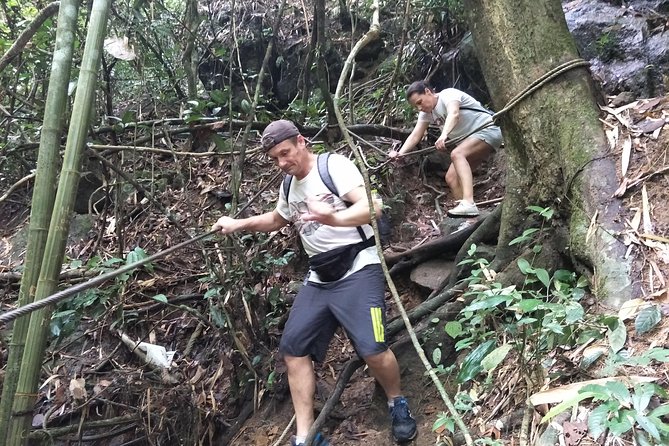 Small-Group Jungle Hiking Excursion in Khao Phra Teaw Park - A swim break, then the walk to Bang Pae