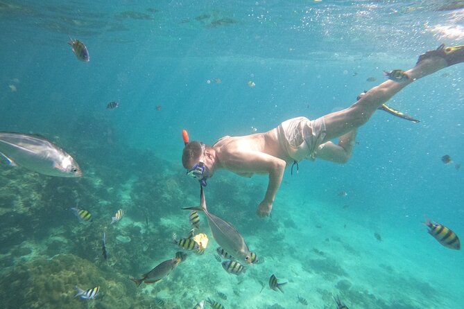 Small Group Phi Phi Islands Sunrise Tour with Seaview Lunch - Lunch with a view on Phi Phi Don