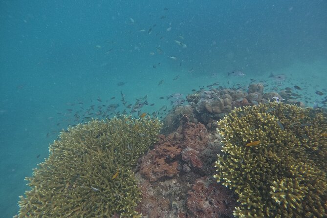 Small Group Phi Phi Islands Sunrise Tour with Seaview Lunch - Is $140.13 good value?