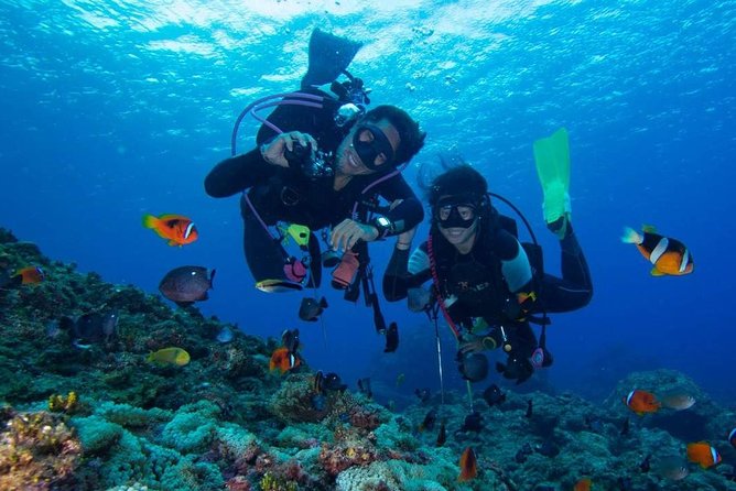 SSI | Padi Open Water Course in Phuket - Day one: equipment and practice around Chalong