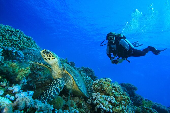 SSI | Padi Open Water Course in Phuket - Day three: the more remote waters of Ko Racha Noi