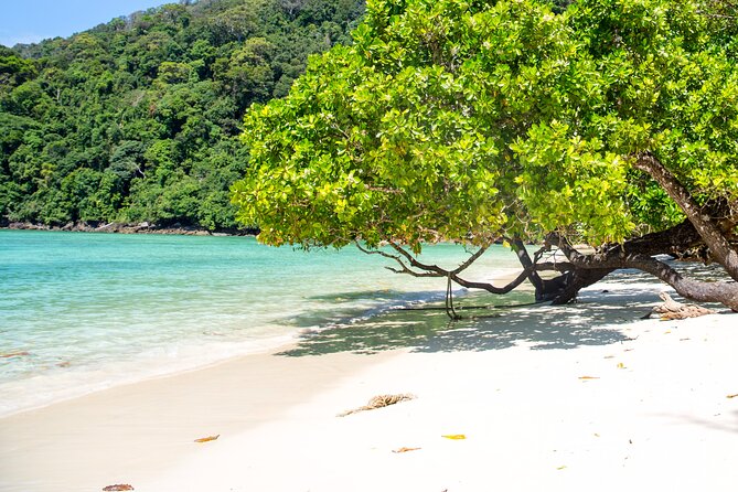 Surin Islands Snorkeling Trip from Phuket - Who will enjoy this day, and who may not