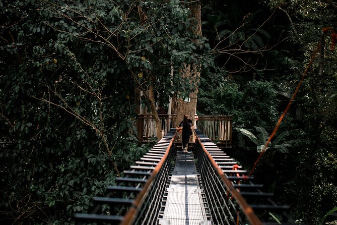 World B+ (Zipline 18 Platforms + Roller + Sky Walk with World Set Menu ) - The bridges, staircase and sky walk